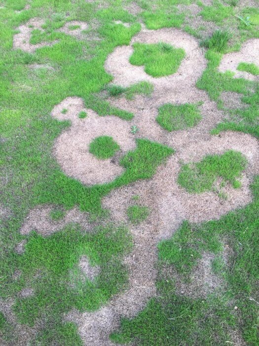 Abbotsley Golf and Squash Club vandalized