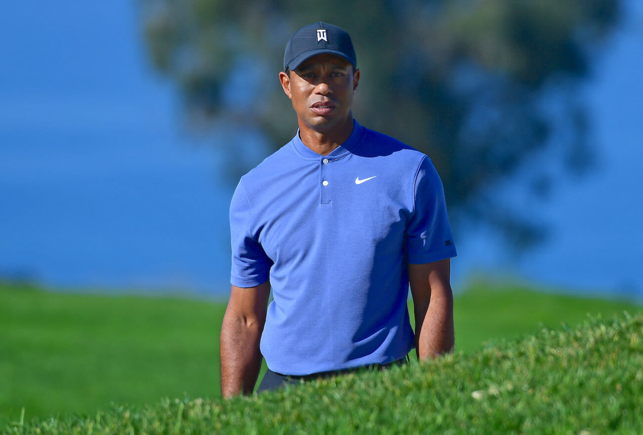 Tiger’s Back? Oh, No 
