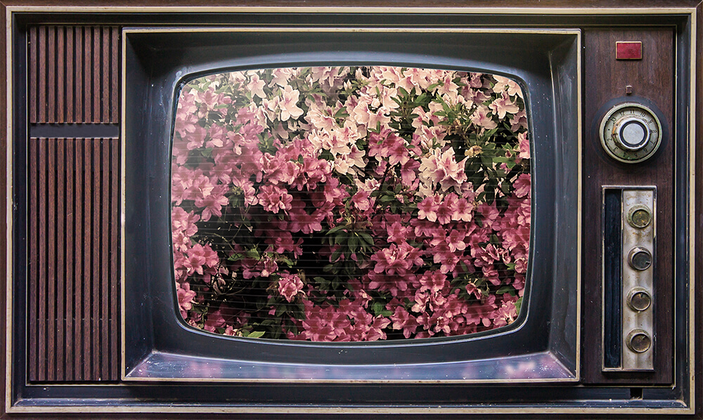 A Different And Distant View Of The Masters