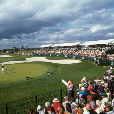 The disappearance of Heron Bay