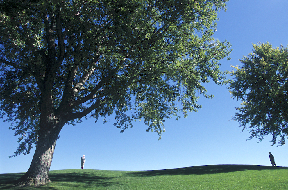 A quick 18 with quandaries, questions and quirks
